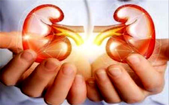 سلامت کلیه‌های خود را با این 9 نوشیدنی تضمین کنید