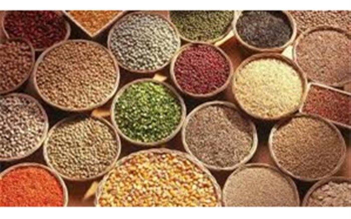 آخرین وضعیت غلات در بازارهای جهانی