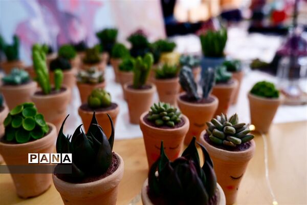 نمایشگاه دستاوردهای بانوان کارآفرین در البرز