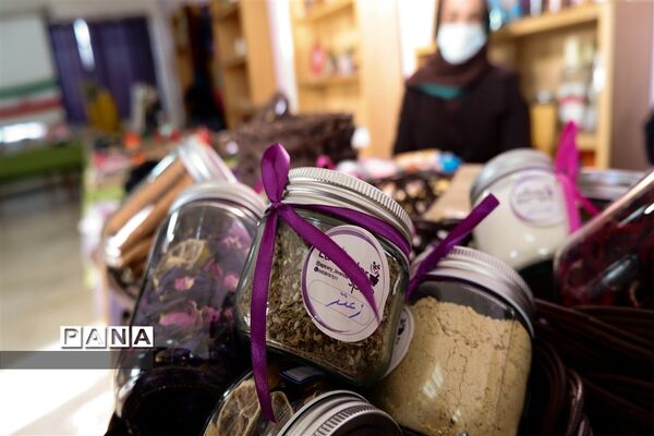 نمایشگاه دستاوردهای بانوان کارآفرین در البرز