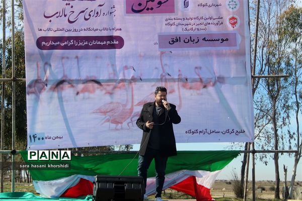 جشنواره آوای سرخ تالاب ها در گلوگاه