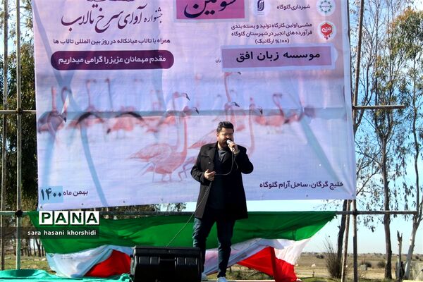جشنواره آوای سرخ تالاب ها در گلوگاه