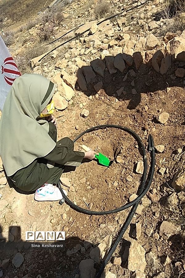 اجرای طرح مشارکتی زاگرس سبز با حضور مربیان و دانش‌آموزان پیشتاز سازمان دانش‌آموزی فارس