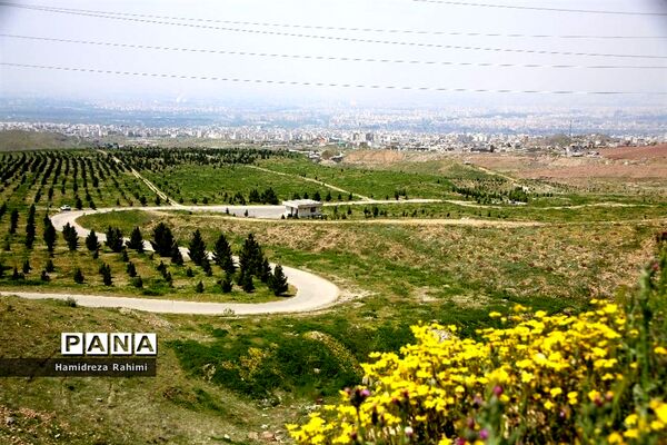آیین افتتاح سرای محله کیانشهر شمالی