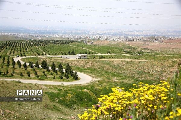 آیین افتتاح سرای محله کیانشهر شمالی