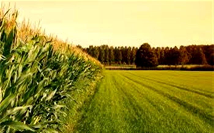 سرمایه‌گذاری ۶ هزار میلیارد تومانی در حوزه مکانیزاسیون کشاورزی