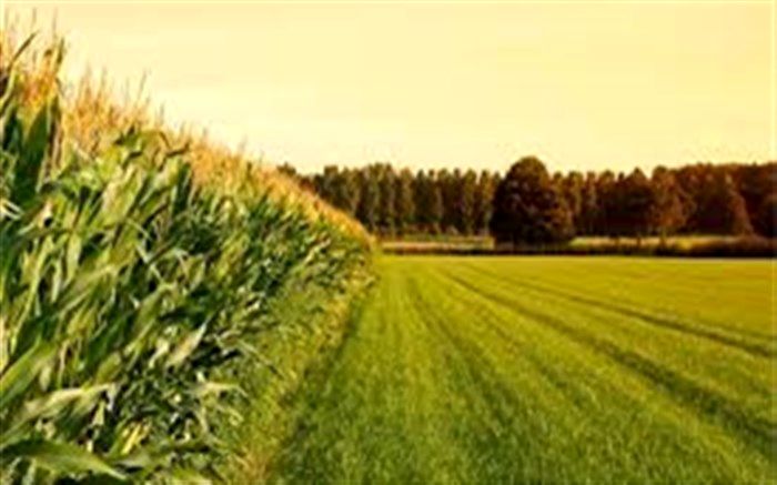 سرمایه‌گذاری ۶ هزار میلیارد تومانی در حوزه مکانیزاسیون کشاورزی