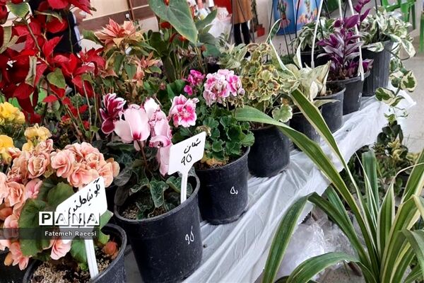 افتتاح بازارچه مشاغل خانگی در آباده