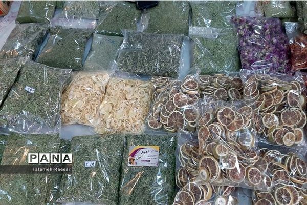 افتتاح بازارچه مشاغل خانگی در آباده