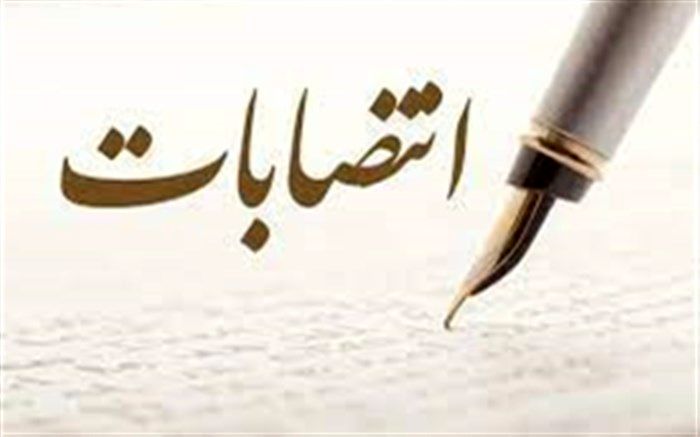 مدیرکل تدوین مقررات و هماهنگی امور شورا و نهادها منصوب شد
