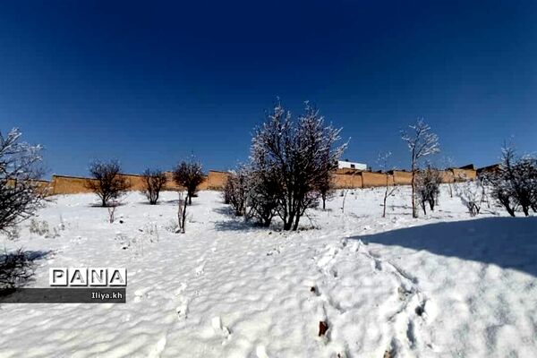 بارش اولین برف اسفند در فارسان