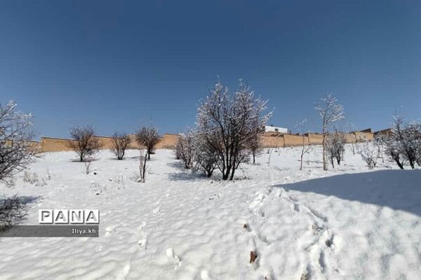 بارش اولین برف اسفند در فارسان