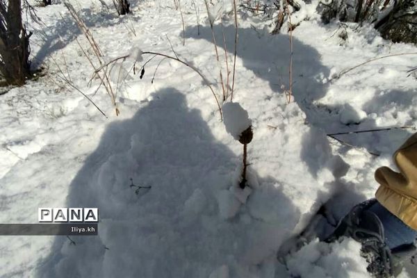 بارش اولین برف اسفند در فارسان