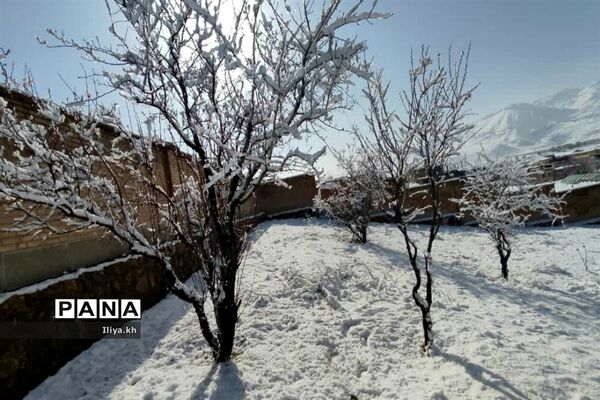 بارش اولین برف اسفند در فارسان