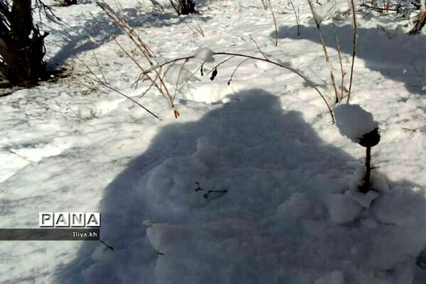 بارش اولین برف اسفند در فارسان