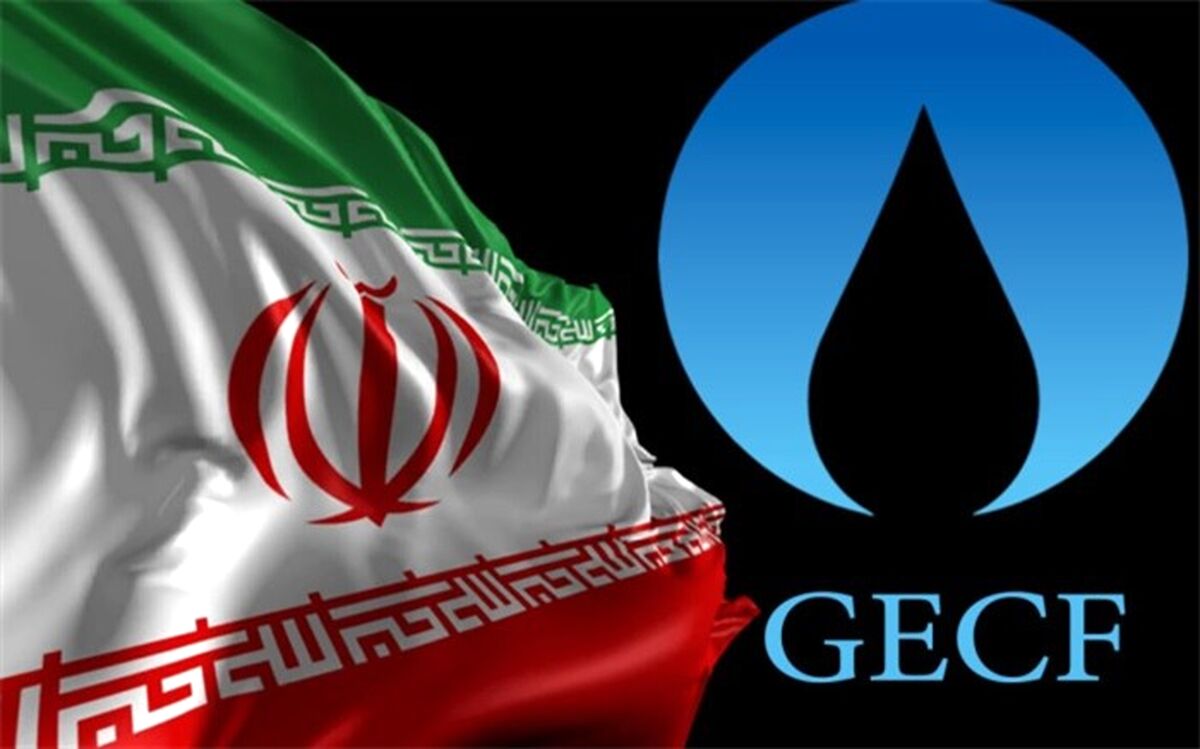بررسی زمینه‌‌های همکاری ایران و الجزایر در بخش انرژی
