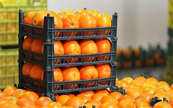 تخلف تعاون روستایی در ذخیره میوه شب عید