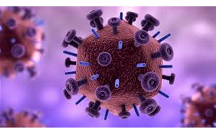 ۵ شهروند قزوینی دیگر بر اثر کرونا جان باختند