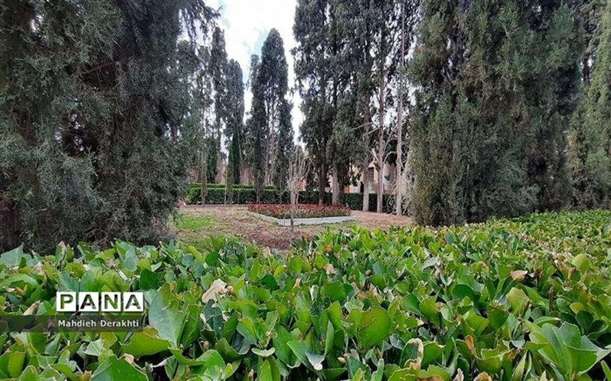 استانداردسازی تولیدات باغی با شناسنامه‌دار کردن‌ باغات