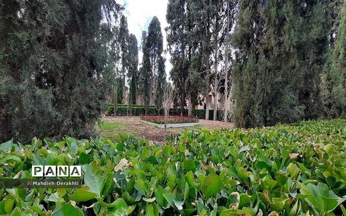 استانداردسازی تولیدات باغی با شناسنامه‌دار کردن‌ باغات