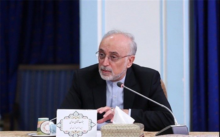 «علی اکبر صالحی» رئیس کارگروه علمی جایزه مصطفی(ص) شد