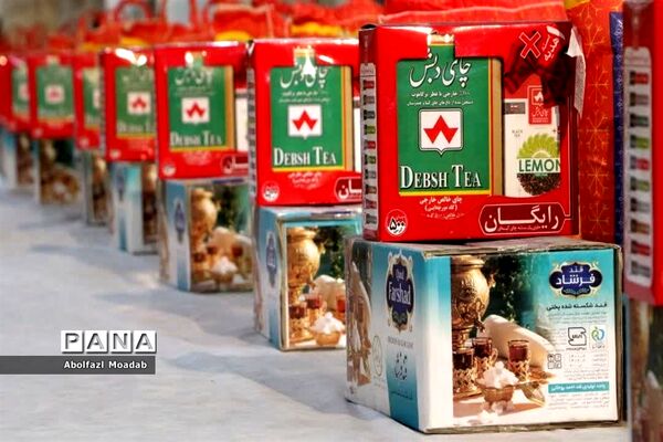 افتتاحیه طرح ملی، قرار دوازدهم در امامزاده سیدحمزه، کاشمر