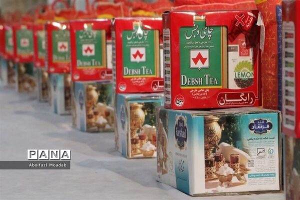 افتتاحیه طرح ملی، قرار دوازدهم در امامزاده سیدحمزه، کاشمر