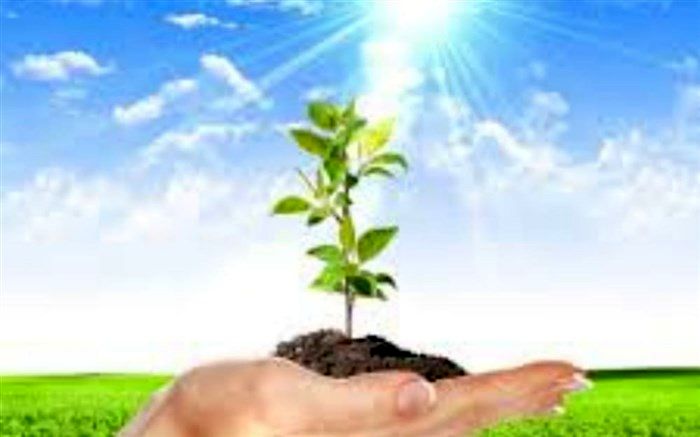 کاشت یک میلیون و 200 هزار اصله نهال به مناسبت روز درختکاری در همدان