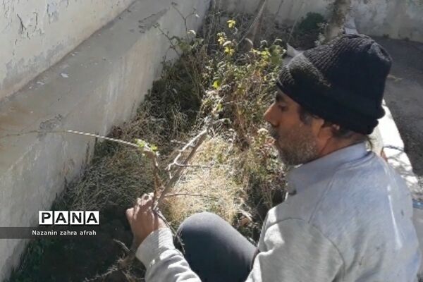 برگزاری مراسم روز درختکاری در آموزش و پرورش رودهن