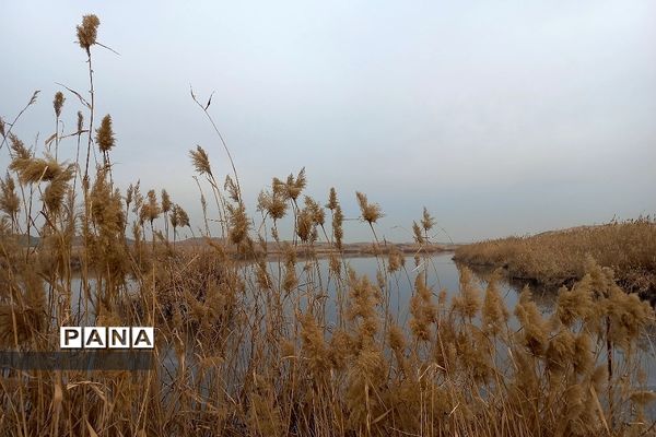 اردوی مجازی راهیان‌نور دانش‌آموزان فشافویه و کهریزک