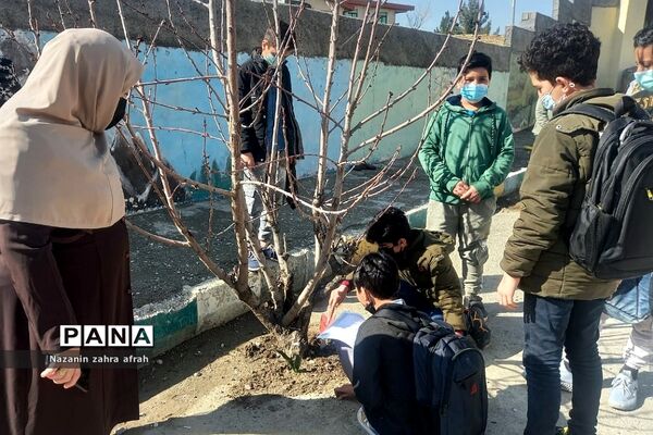 برگزاری مراسم روز درختکاری در مدرسه امام حسن مجتبی(ع)‌ رودهن