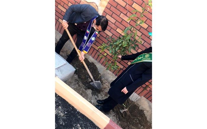 آیین نکوداشت  روز درختکاری  درمنطقه 7 برگزار شد