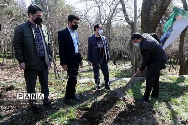 آیین روز درختکاری در اردوگاه شهید باهنر تهران