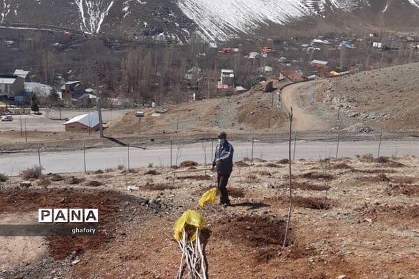 برگزاری مراسم روز درختکاری در مدارس شهرستان دماوند