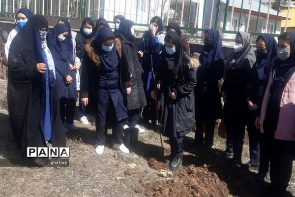 برگزاری مراسم روز درختکاری در مدارس شهرستان دماوند