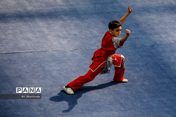 نخستین فستیوال ملی وشوو