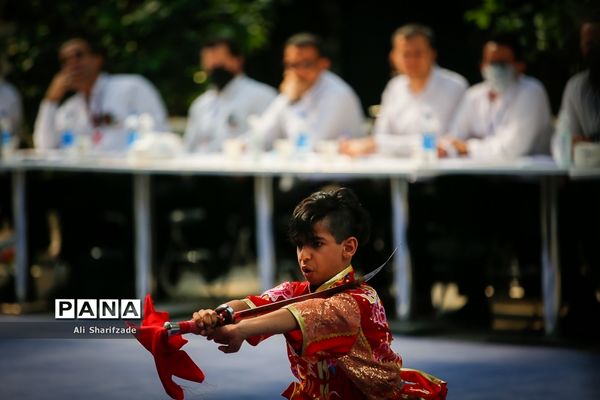 نخستین فستیوال ملی وشوو