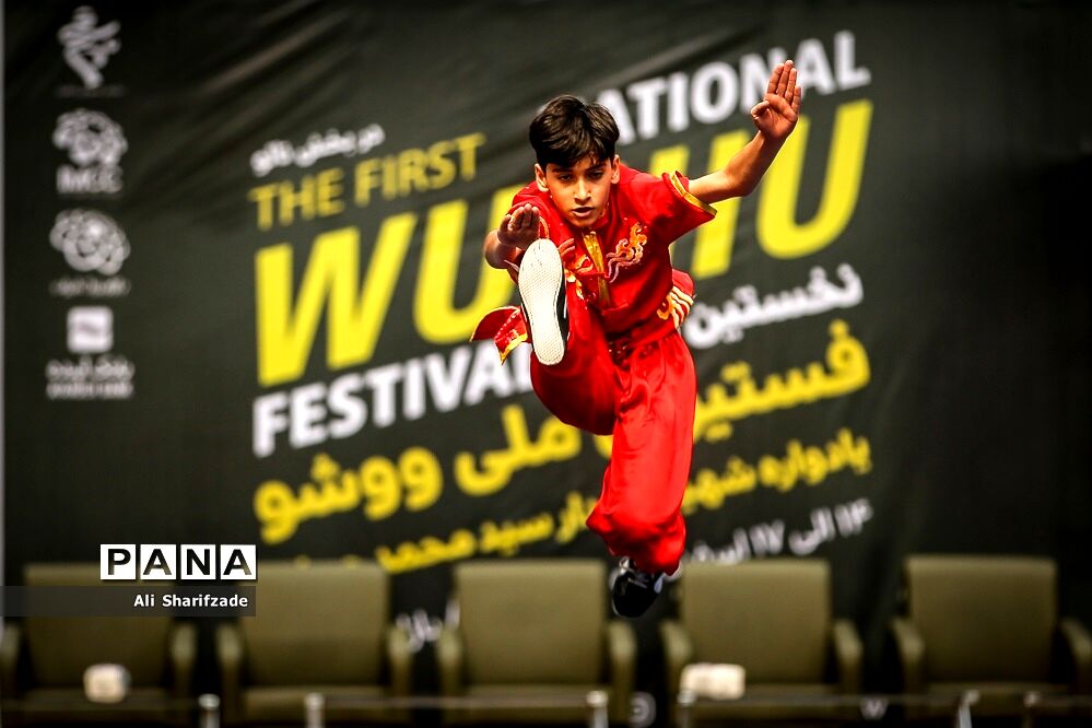 نخستین فستیوال ملی وشوو