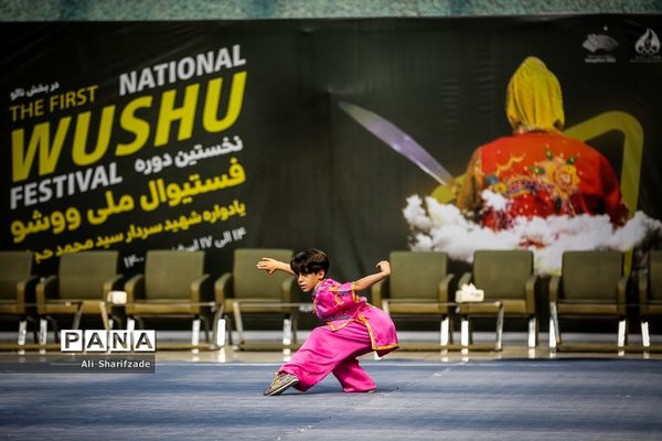 نخستین فستیوال ملی وشوو