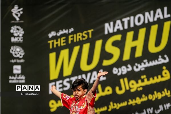 نخستین فستیوال ملی وشوو