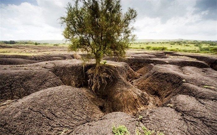 کمبود خاک چگونه  زندگی انسان را تهدید می‌کند؟