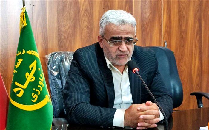 سالانه ۱۴۰ هزار تن مرکبات در شهرستان نکا تولید می‌شود