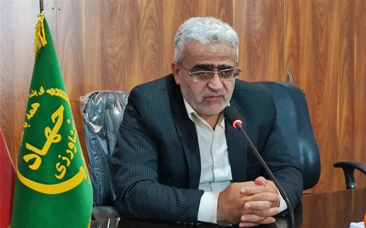 سالانه ۱۴۰ هزار تن مرکبات در شهرستان نکا تولید می‌شود