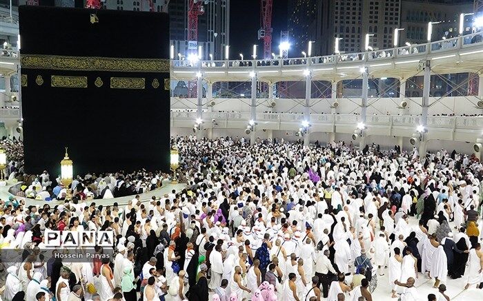 بازدید رئیس سازمان حج و زیارت از محل اقامت حجاج در مدینه