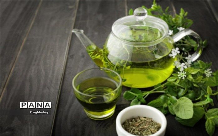 آغاز برداشت چین دوم برگ سبز چای از باغات چای گیلان و مازندران