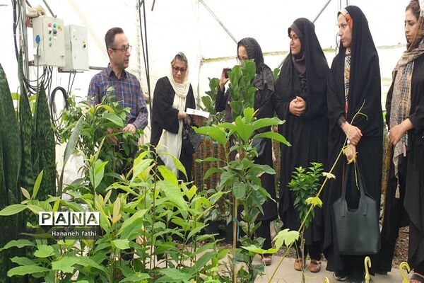 بازدید هنرجویان از گلخانه به‌مناسبت هفته جهاد کشاورزی در محمود‌آباد