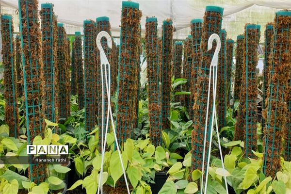 بازدید هنرجویان از گلخانه به‌مناسبت هفته جهاد کشاورزی در محمود‌آباد