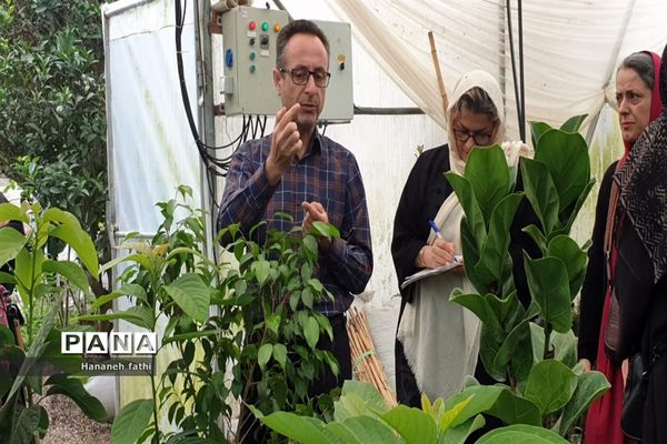 بازدید هنرجویان از گلخانه به‌مناسبت هفته جهاد کشاورزی در محمود‌آباد