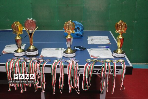 جشنواره فرهنگی  ورزشی فرهنگیان استان بوشهر رشته تنیس روی میز آقایان