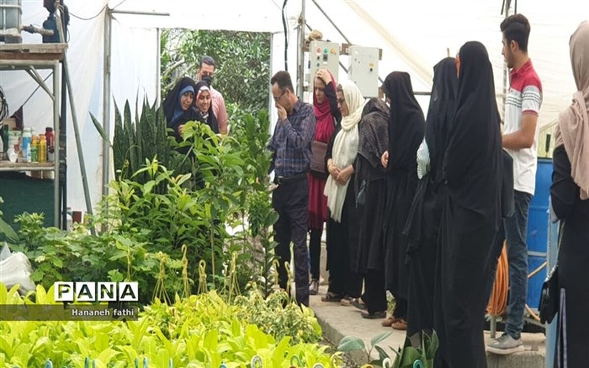 ابلاغ شیوه‌نامه اجرایی «تأمین مالی کشاورزی قراردادی»